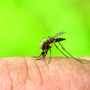 Virus spike prompts call for caution