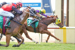 Burns and Hobson’s Cup day delight