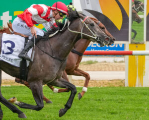 Locals blow visitors away