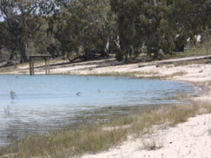 Hefty fines over Meran water theft