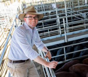 Jobseekers jump on the header for a record harvest