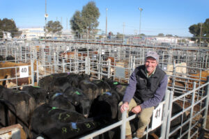 Beef Bonanza: Exports drive up cattle prices