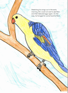 Illustrating endangered bird