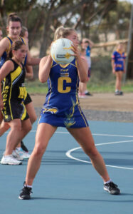 Allen sisters star for Eagles