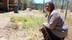 Peak body defends Wamba Wamba council