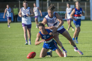 Dogs hold off Kangas