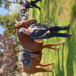 The Lone Horse and the backward boot