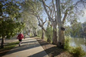 July weather mild and dry