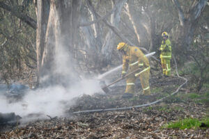Lightning hits riverside trees