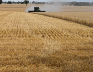 China’s barley tariffs lifted