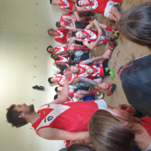 Swans can soar to flag