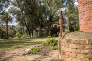 Tyntynder homestead to host open garden