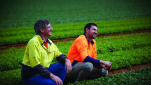 Redgold Farms set itself apart from the field