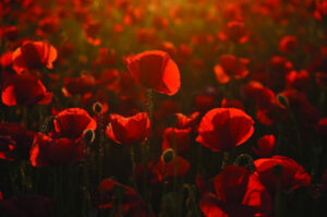 With 100 years up, Legacy’s work goes on