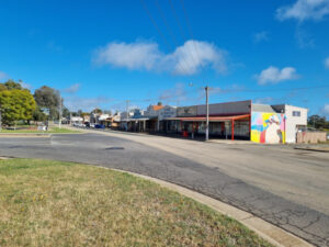 Centenaries amp up Nyah District reunion