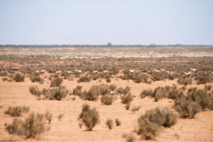 Agricultural jobs winner could be made possible