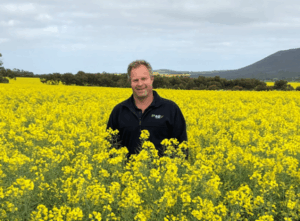 Grain reports to aid with choice