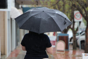 ‘Brolly good’ weather for farmers
