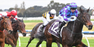 What do you think of that?