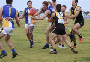 Woorinen tame winged Mallee Eagles