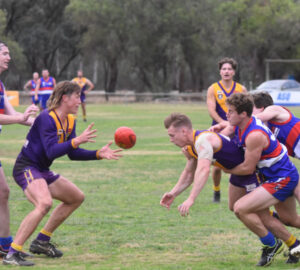 Bears Lagoon-Serpentine