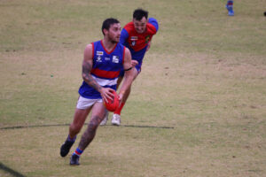 Demons silence Dogs’ bark