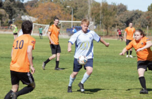 Swans don’t die wandering