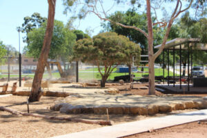 Play before the big day