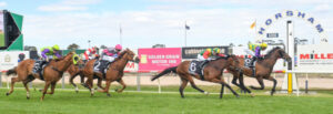 Swan Hill gallops into Horsham