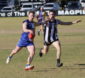 Eagles raid Magpies nest