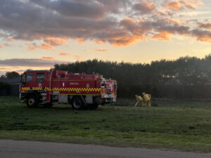 Plant waste left to burn