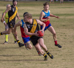 Lions favoured in finals jungle