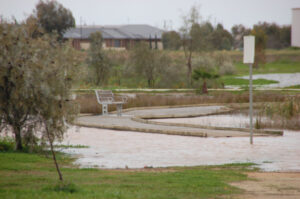 Farmers divided on record rain