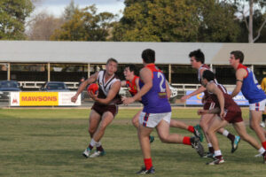 Swans’ stirring comeback