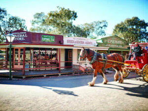 Settling for heritage of Pioneer Settlement