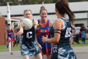 Picking out one of the underdogs