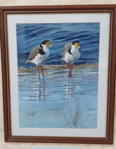 Impressive “visions” of Lake Boga