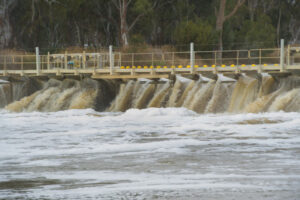 High flows, wet outlook drive water strategies