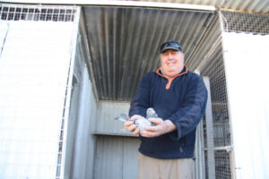 A passion for pigeons