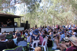 Roaring success: Fine crowd at festival