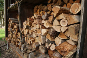 Axe falls on illegal firewood trade