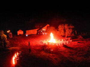 Swan Hill twigs to artistic display