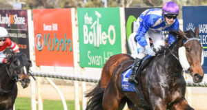 Runaway Drought Breaker makes it four wins for Coffey