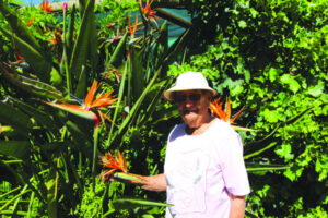 Holding the country together