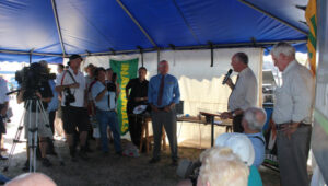 Contenders for the Mallee