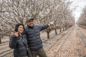 Going nuts over almonds