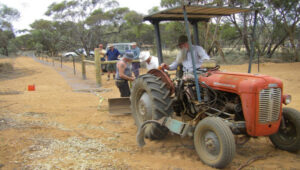 Bird club swoops in for restoration