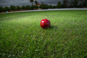 Cricket washed out again