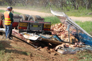 Truck fails to bring home the bacon