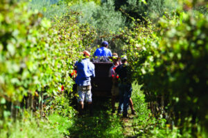 Hope for harvest worker fix